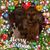 Angie Massarini's profile image