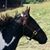 Barbara Lunsford's profile image