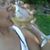 Judith Brandon's profile image