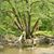 Trevien Stanger's profile image