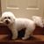 Barbara Griffin Harris's profile image