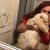 Sadie Love's profile image