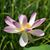 Tina Sunier's profile image