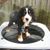 Emelia Argy's profile image