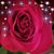 Donna Metcalf Swedersky's profile image