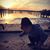 Lucia Flaim Tucker's profile image