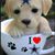 Sharon Taylor's profile image