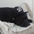 Brandy Starr Elmore's profile image