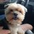 Anna-Dale Wendt's profile image