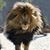 Juan Gomez's profile image