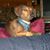 Gayla Burk's profile image