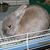 Marilyn VanDerbeck Richardson's profile image