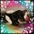 Darren Hale English's profile image