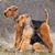 Jerry Adams's profile image