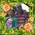 David Havron's profile image