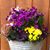 Kathy Kenner's profile image