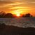 Lisa Schremp's profile image
