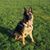 Sue Deakin's profile image