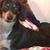 Timmy Timms's profile image