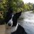 June Richards-Yezman's profile image