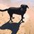 Kelly Quandt's profile image