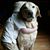 Deidre Galbo's profile image
