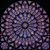 Jessica Lutyen's profile image