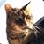 Melissa Jaymz Bernard's profile image