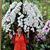 Melanie Domb's profile image