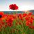 Eric Gregor-Pearse's profile image