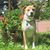 Sandy Scoville's profile image
