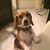 Suzanne Laven-Sigler's profile image
