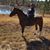 Patricia O'Loughlin Gilbert's profile image