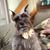 Zoe T.'s profile image
