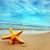 Lindy Hornbuckle's profile image
