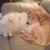 Michelle Dalton-yedid's profile image
