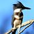 Wendy Dunham's profile image