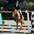 Andrea Querzola's profile image