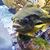 Robert Bell's profile image