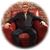 Todd D. Martin's profile image