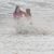 Stacy Edwards-Shephard's profile image