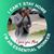 Tawney Malone Willis's profile image