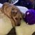 Laura Lynn Losaw's profile image