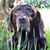 Mocha Jo's profile image