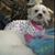 Amy Westphal's profile image