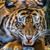 John Brandt's profile image