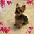 Terri Mason's profile image