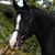 Barbara Reel's profile image