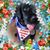 Amanda Handlin's profile image