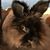 Valden Wood's profile image